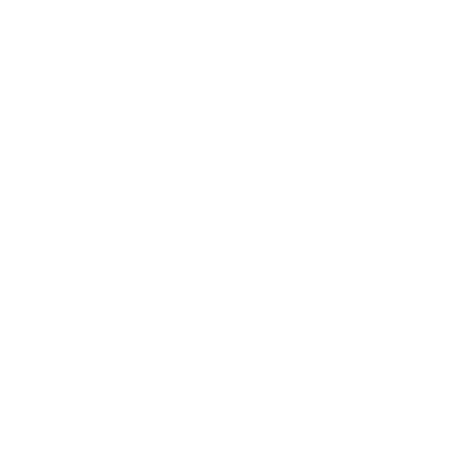 Codename Golden Triangle
   download Brochure